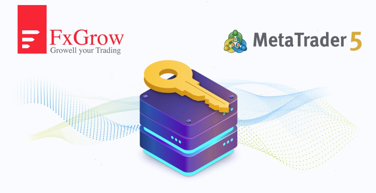 FxGrow Limited: “MetaTrader 5访问服务器主机服务拥有其他提供商无法比拟的优势”